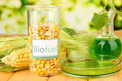 Twenties biofuel availability