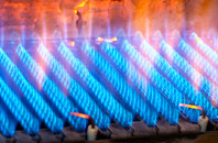 Twenties gas fired boilers